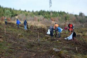 Waldtag der Förderstufen-Klassen 5