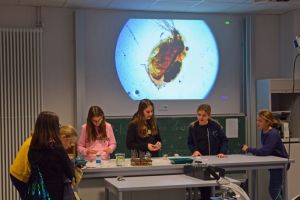 Johannes-Kepler-Schule