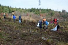 Waldtag der Förderstufen-Klassen 5