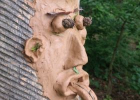 Projekt Waldkunst